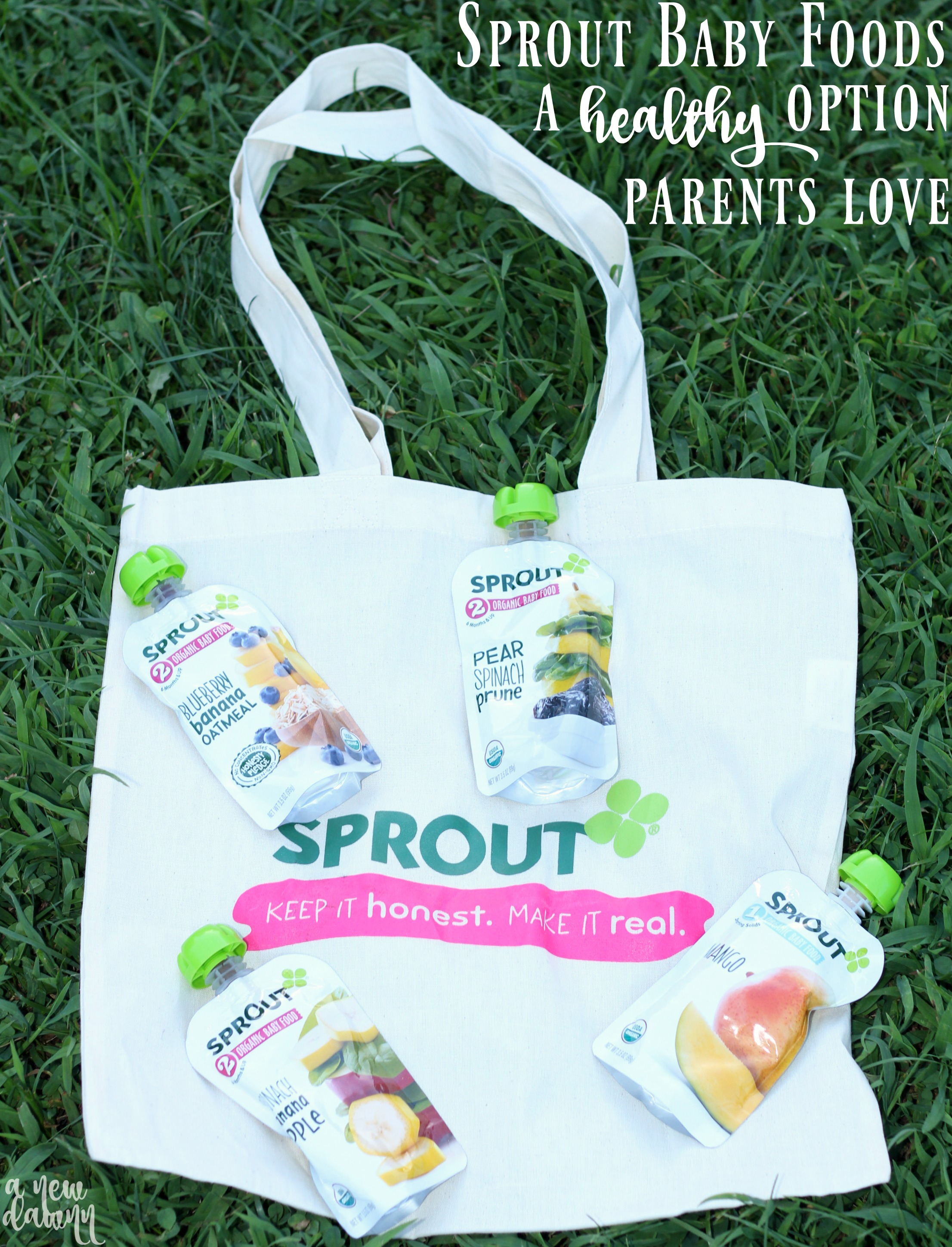 Sprout Baby Foods A Healthy Option for Babies & Toddlers